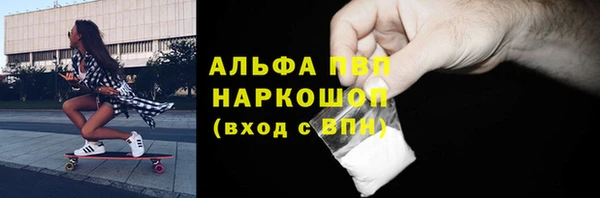 PSILOCYBIN Богородицк