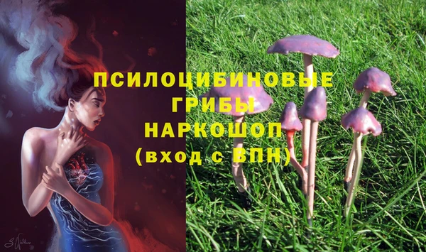 прущий лед Сафоново