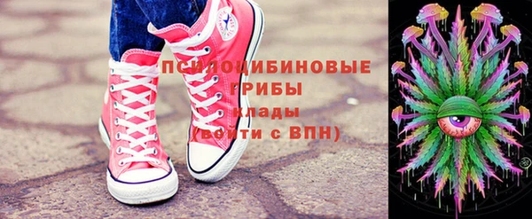 прущие грибы Богородск