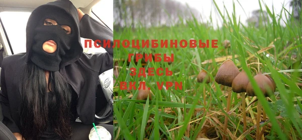 а пвп мука Белокуриха