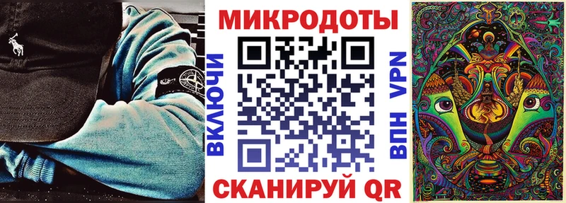 Галлюциногенные грибы Psilocybe Буйнакск